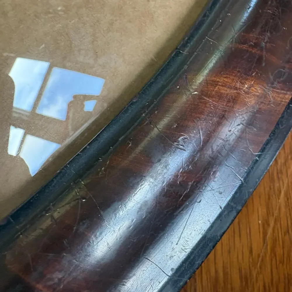 Antique Oval Convex Bubble Glass Picture Frame Faux Tiger Oak